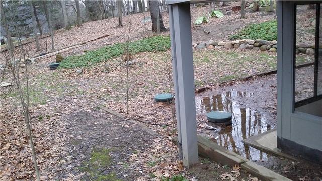 Murky Backyard Sheds Light on Water Issue