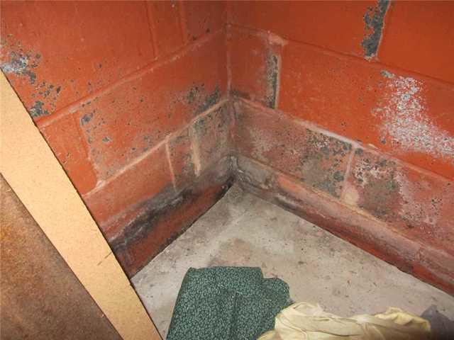 Basement Water Damage in Union County