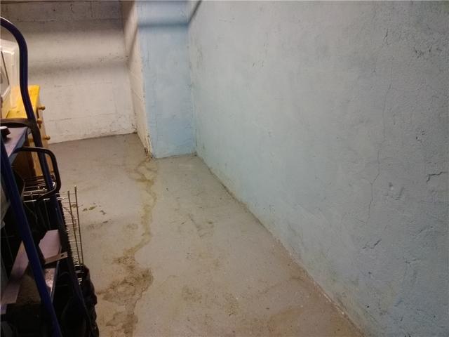 Looking for Wet Basement Protection in Mountainside