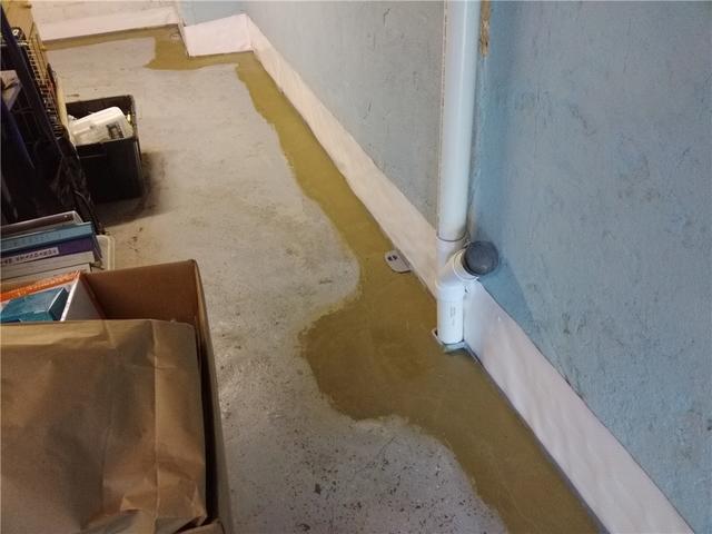 Hard-Working Basement Drain in Mountainside