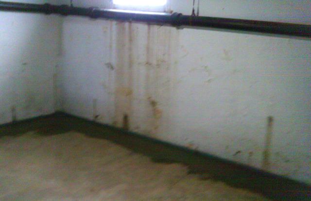 WaterGuard Installed