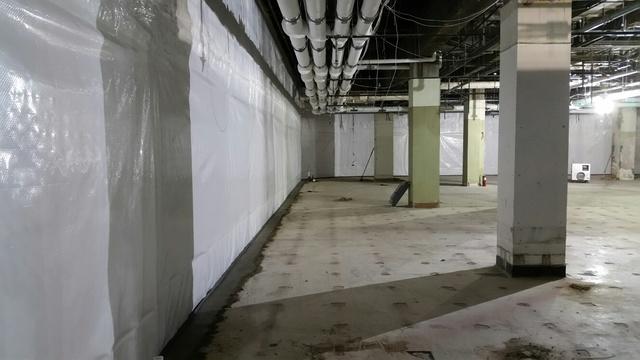 CleanSpace & WaterGuard Systems