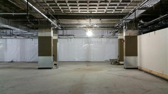 Bright, Dry Basement