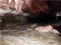 <p>This wet, dripping insulation hanging from the floor joists is what was found when they crawled under the home.&nbsp; This is typical of too much moisture evaporating up into the rafters.</p>