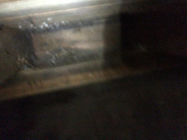 Black mold in a wet crawlspace