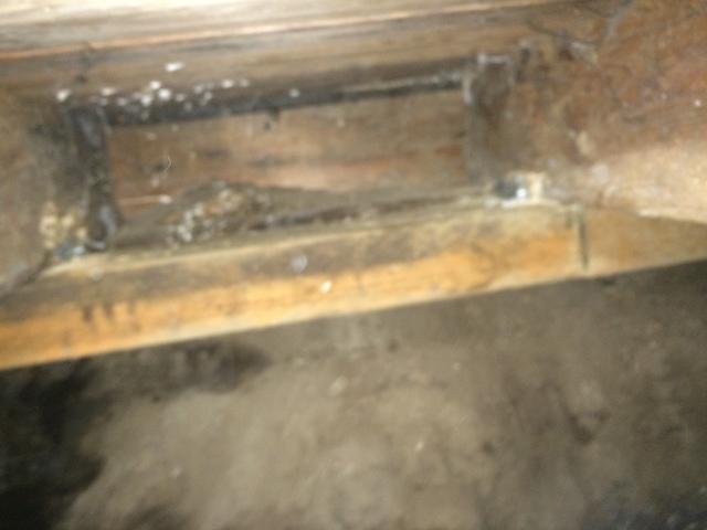 Mold and falling insulation