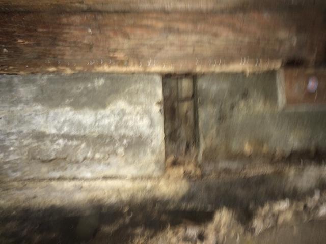 Excessive moisture breeds mold