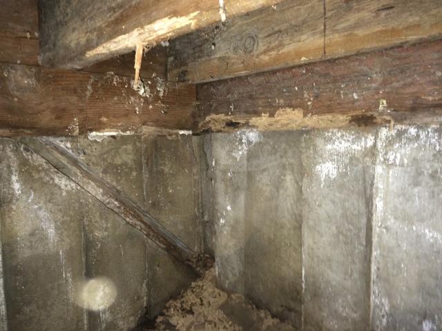 Wet walls and mold