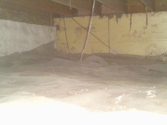 Before Encapsulation 