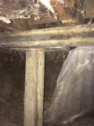 Rotting Wooden Support Beam in Crawl Space