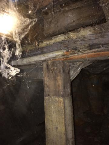 Decayed Beam in Coopersville, Mi Crawl Space