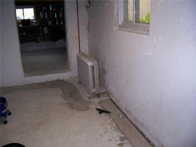 Damp, Staten Island Basement