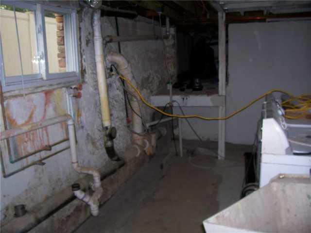 Wet and Nasty Basement