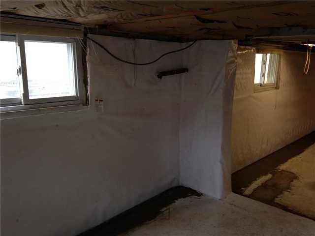 Bright and Dry Basement