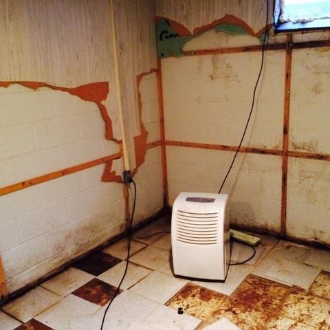 Heavy Water Damage in Benton Harbor Basement