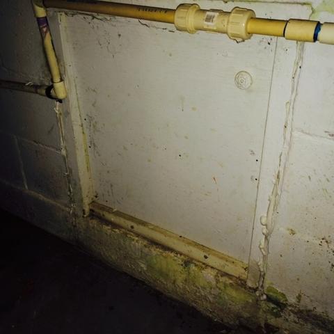 Mold Buildup Around Access Panel