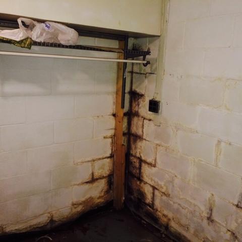 Severe Mold Problems in Basement Corner