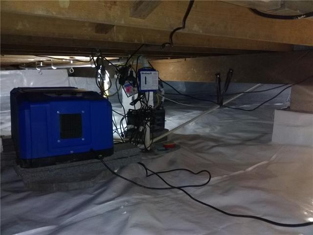 Fresh and Moisture Free