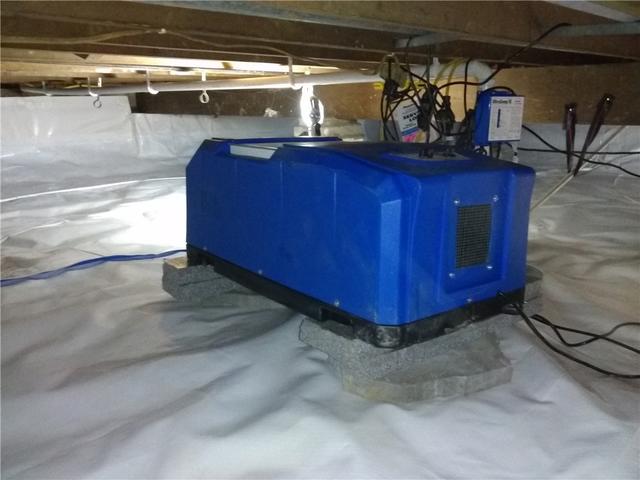 Healthy Humidity Levels