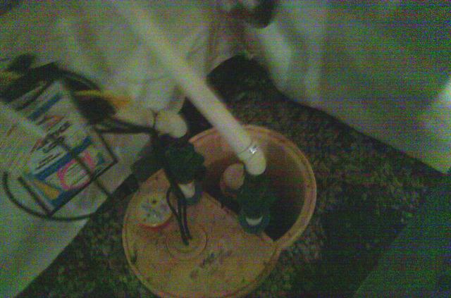 TripleSafe Sump Pump