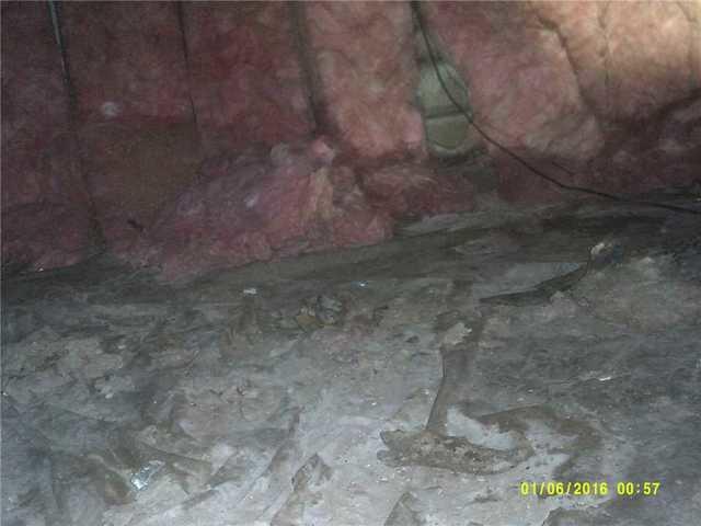 Waterlogged Crawl Space in St. Joseph