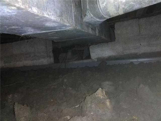 Dirty, Wet Crawl Space