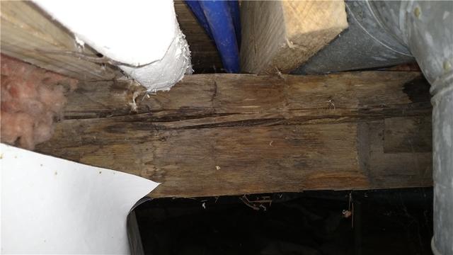 There are multiple fissures in this support beam, which makes it more likely to fail from the basic weight of the house above it.