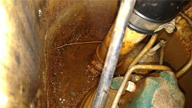 Iron ochre is a bacteria that can occur in areas of high iron. It's dangerous in that it can clog your sump pump and prevent it from working effectively, making your basement or crawl space susceptible to flooding.