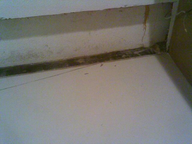 Before Waterproofing