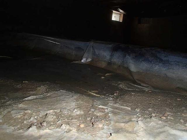 Conditions during the free inspection
