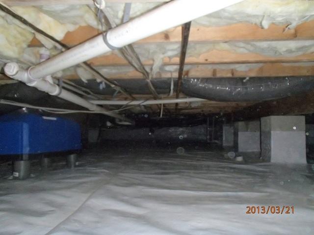 Dehumidifiers go well with CleanSpace