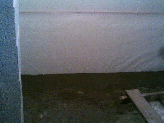 CleanSpace Liner