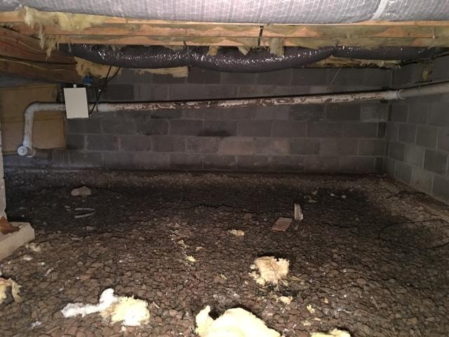 The gravel floor on this crawl space allows for moisture to escape the earth and infiltrate the organic materials in the home causing mold to grow.