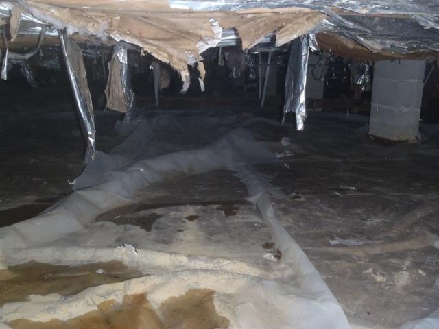 Easton, MD Crawl Space Needs Repair and Encapsulation