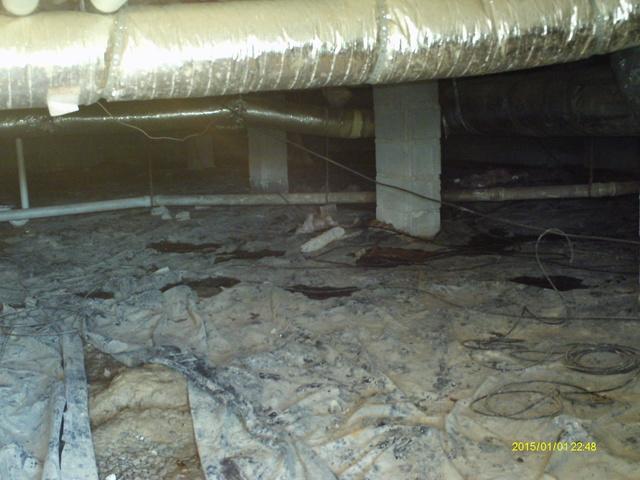 Original Crawl Space