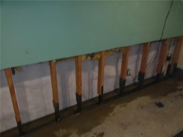 Westfield Mold Prevention