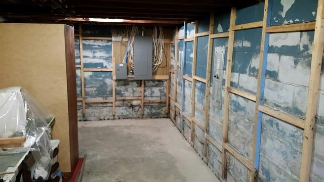 Damp Basement
