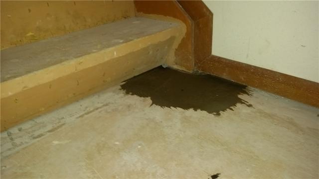 TrenchDrain Installed in Troublesome Corner