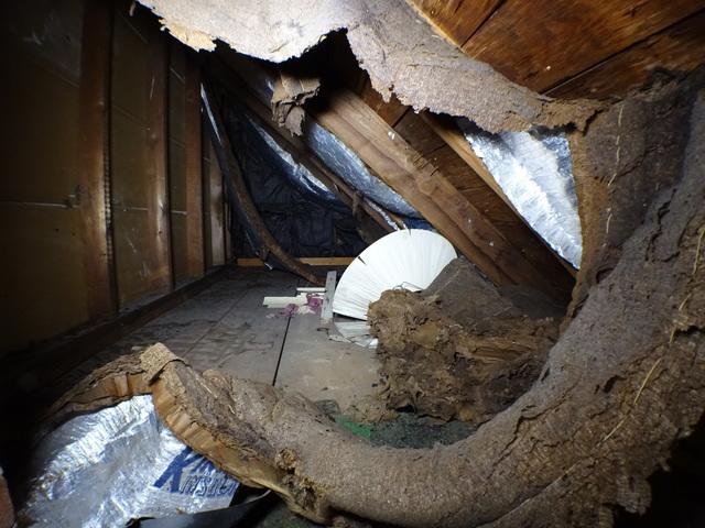 Poorly Insulated Attic
