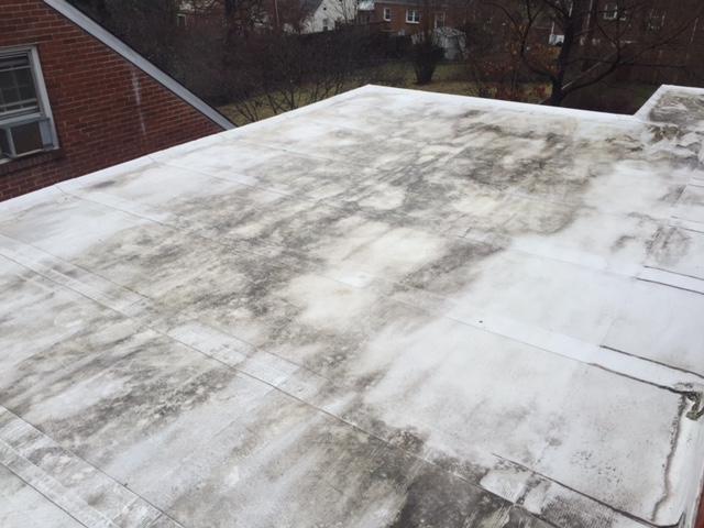 Failing Rubber Roof