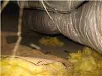 Before we fixed the crawl space