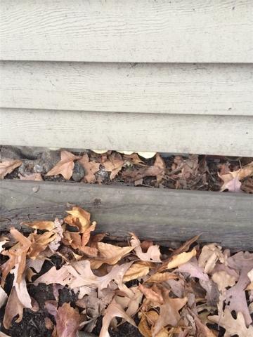 <p>The home owner became increasingly aware of gaps like these inside and outside his home. The separation shows evidence of where the foundation has settled</p>