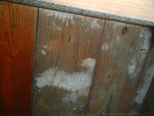 Say No to Mold with Crawl Space Encapsulation