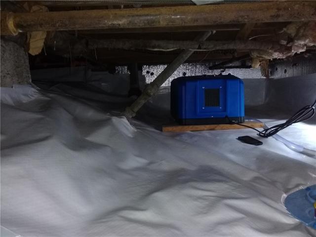 Crawl Space Dehumidifier in Bayonne