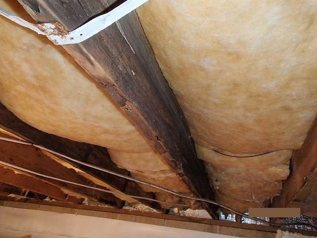 Floor joists that were damaged from water