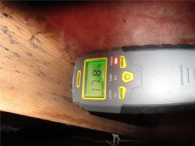 Wood Moisture Reading