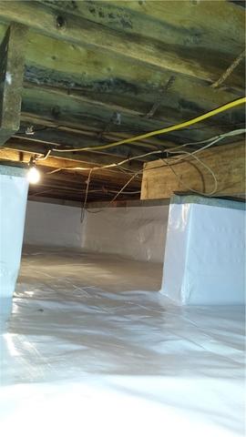 CleanSpace the walls