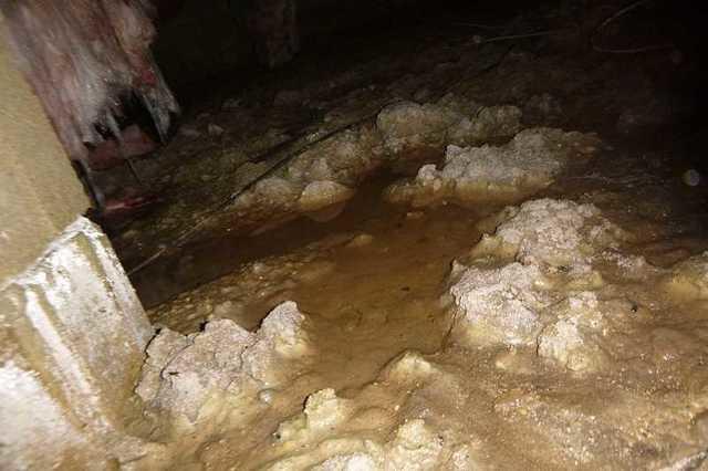 Wet Crawl Space