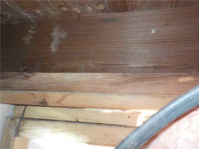 Warped and Moldy Beams in Kalamazoo Crawl Space