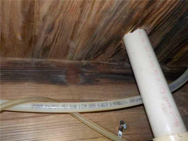 Moldy Wood in Kalamazoo Crawl Space